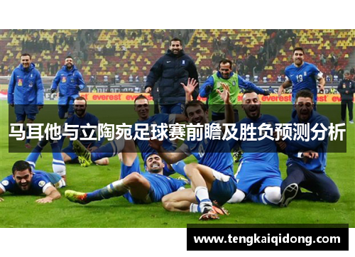 马耳他与立陶宛足球赛前瞻及胜负预测分析