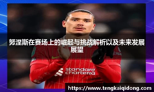 BB贝博艾弗森努涅斯在赛场上的崛起与挑战解析以及未来发展展望